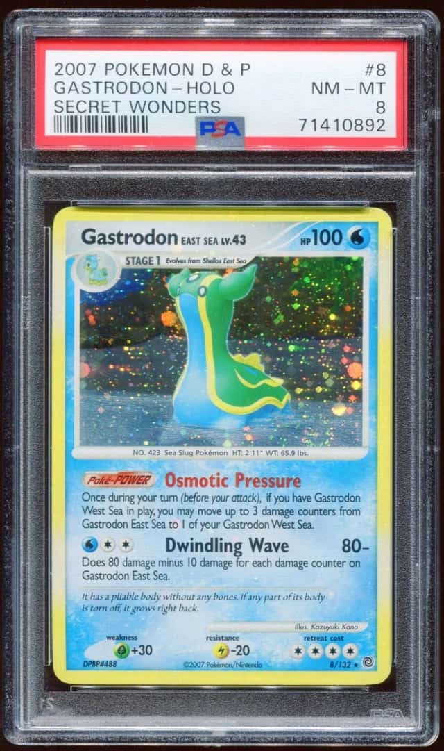 Gastrodon