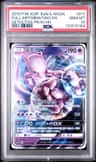Full Art/mewtwo Gx