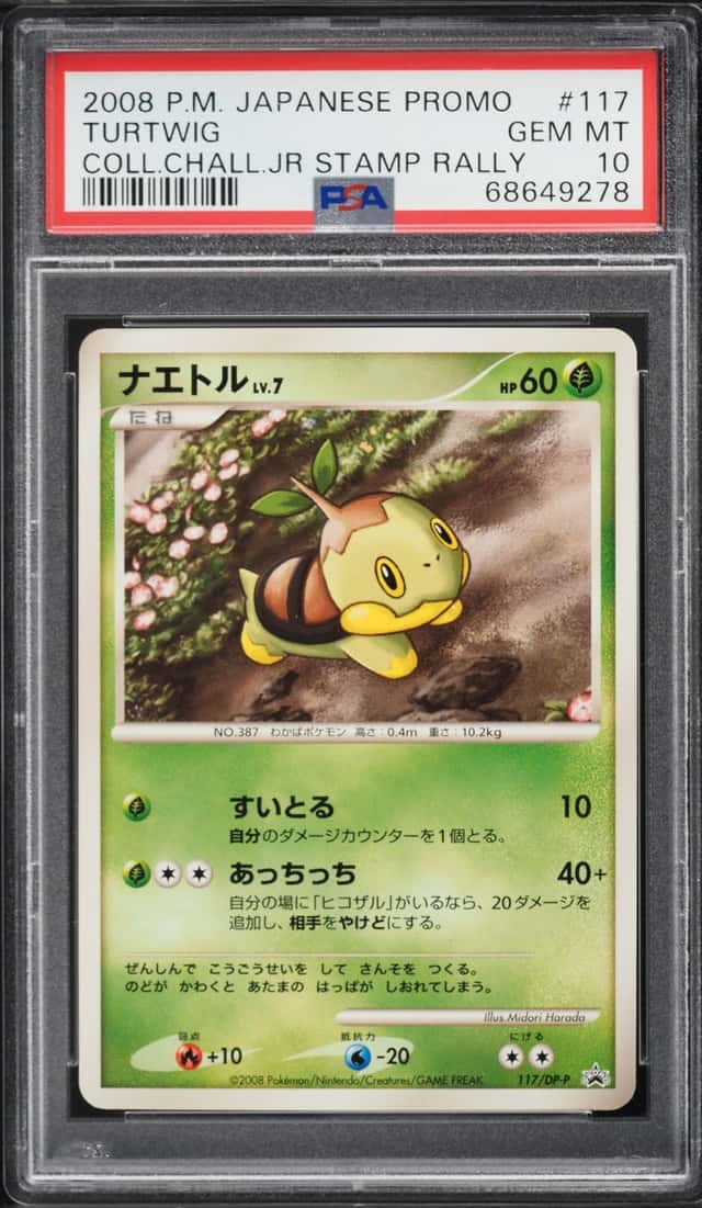 Turtwig