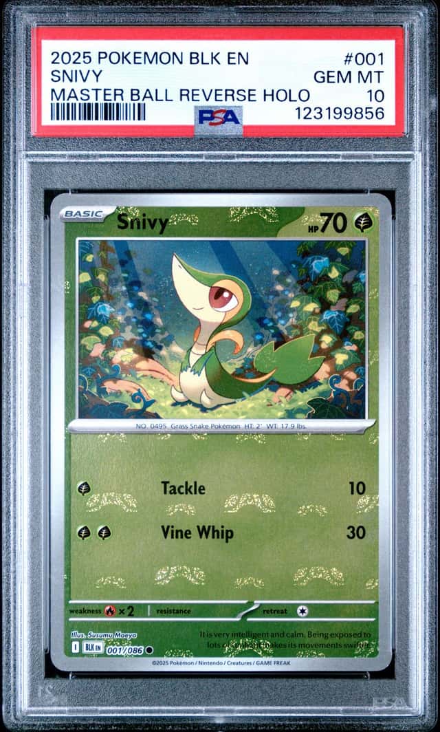 Snivy