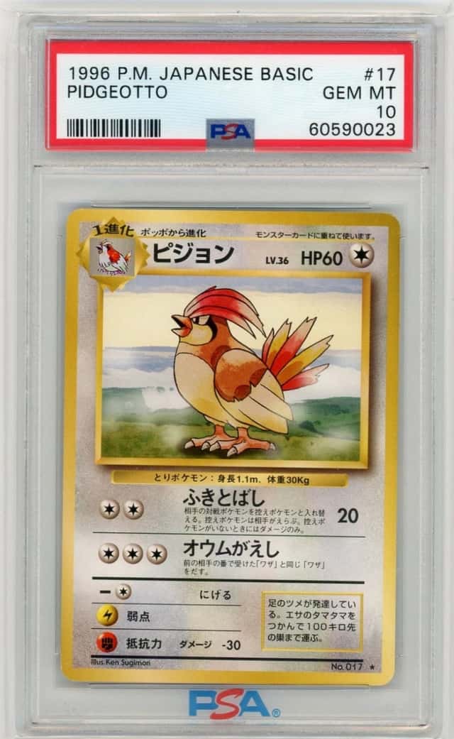 Pidgeotto