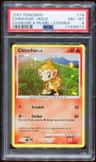 Chimchar