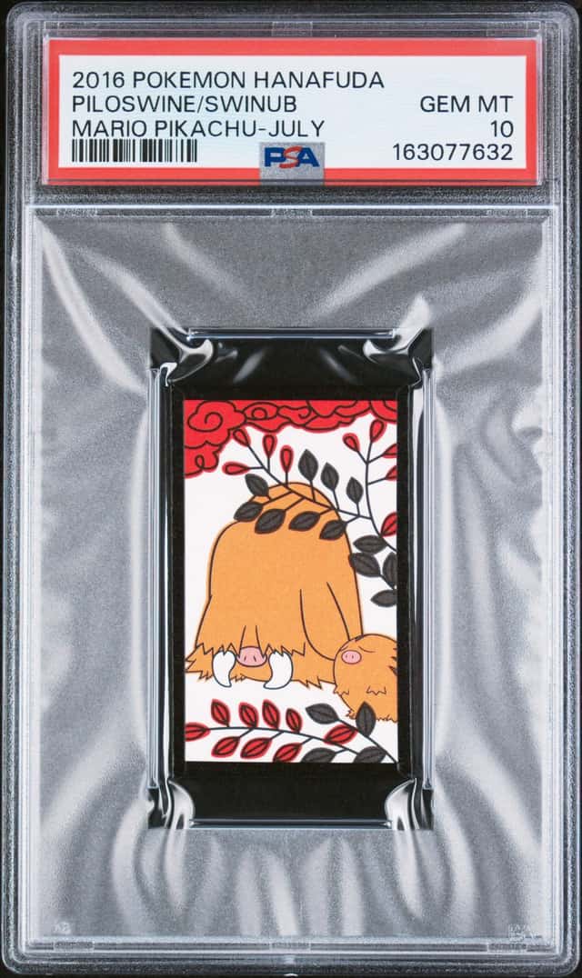 Piloswine/Swinub