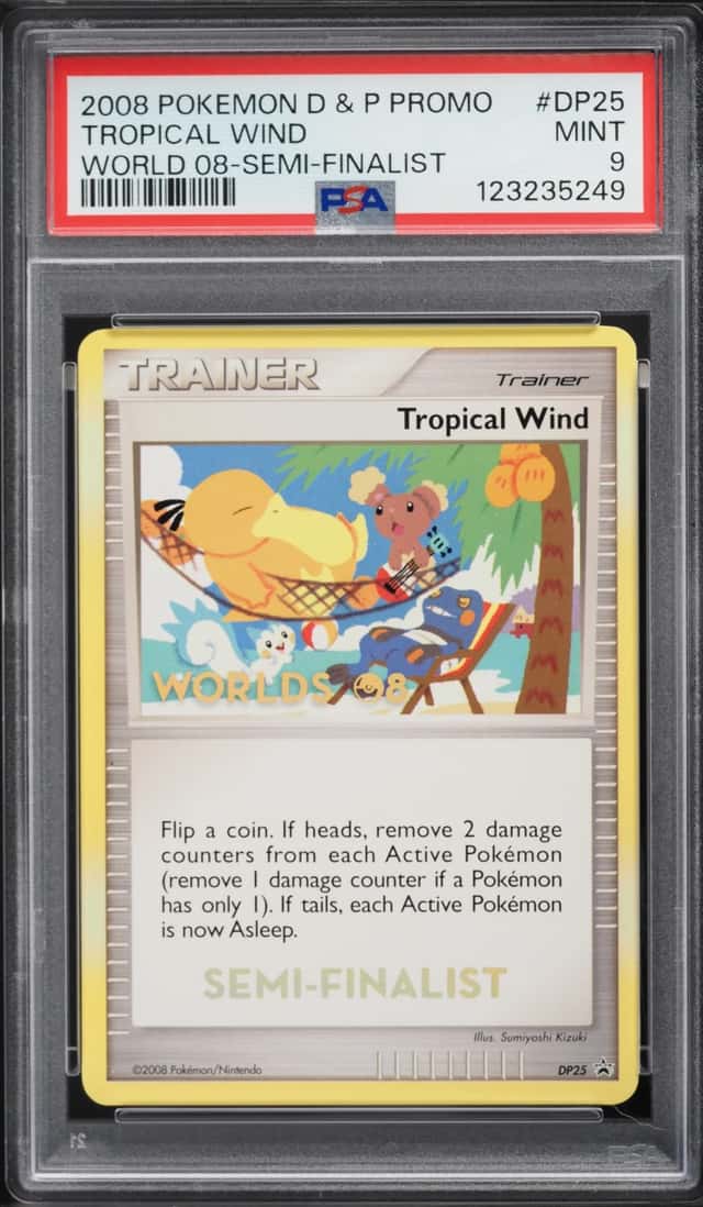 Tropical Wind