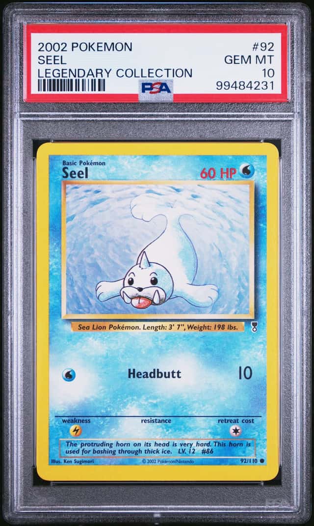 Seel
