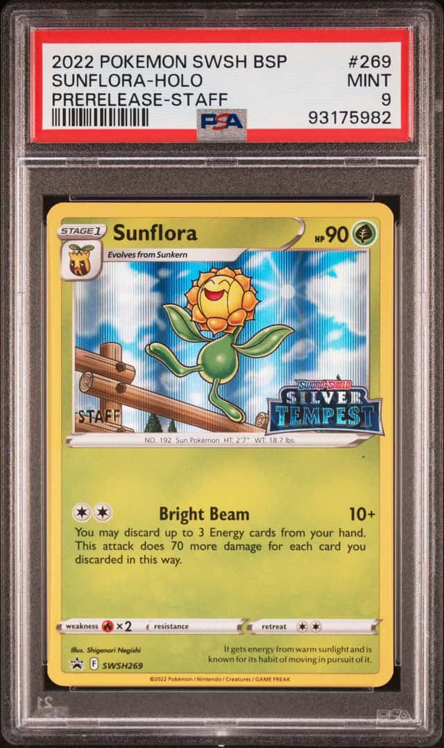 Sunflora