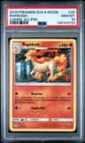 Rapidash