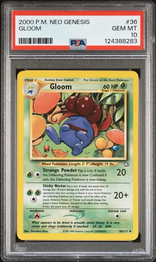 Gloom