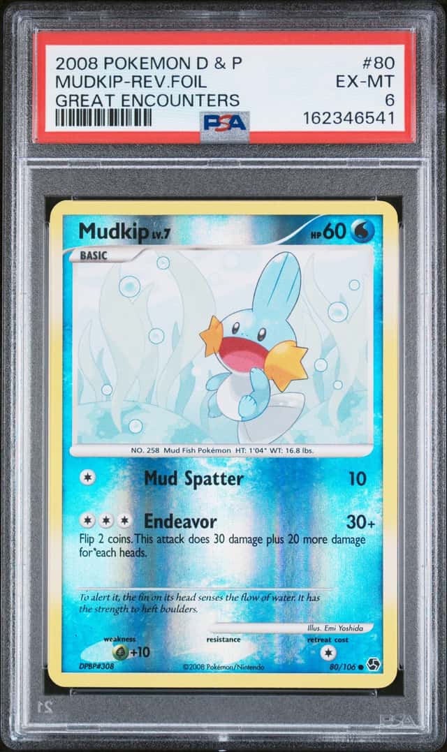 Mudkip