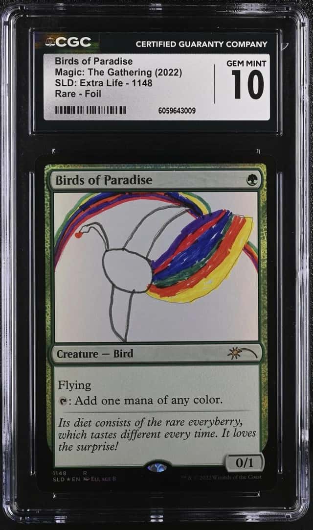 Birds of Paradise