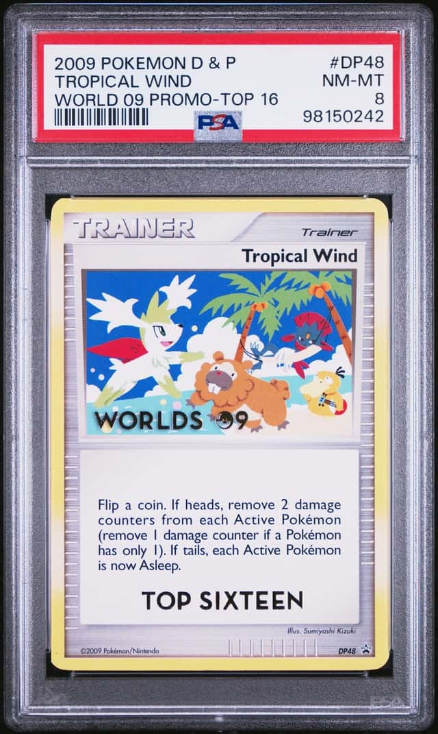 Tropical Wind
