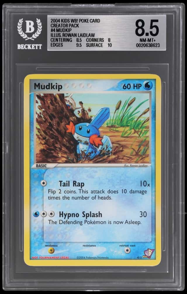 Mudkip