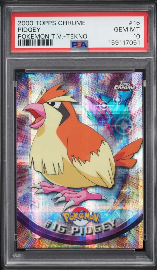 Pidgey