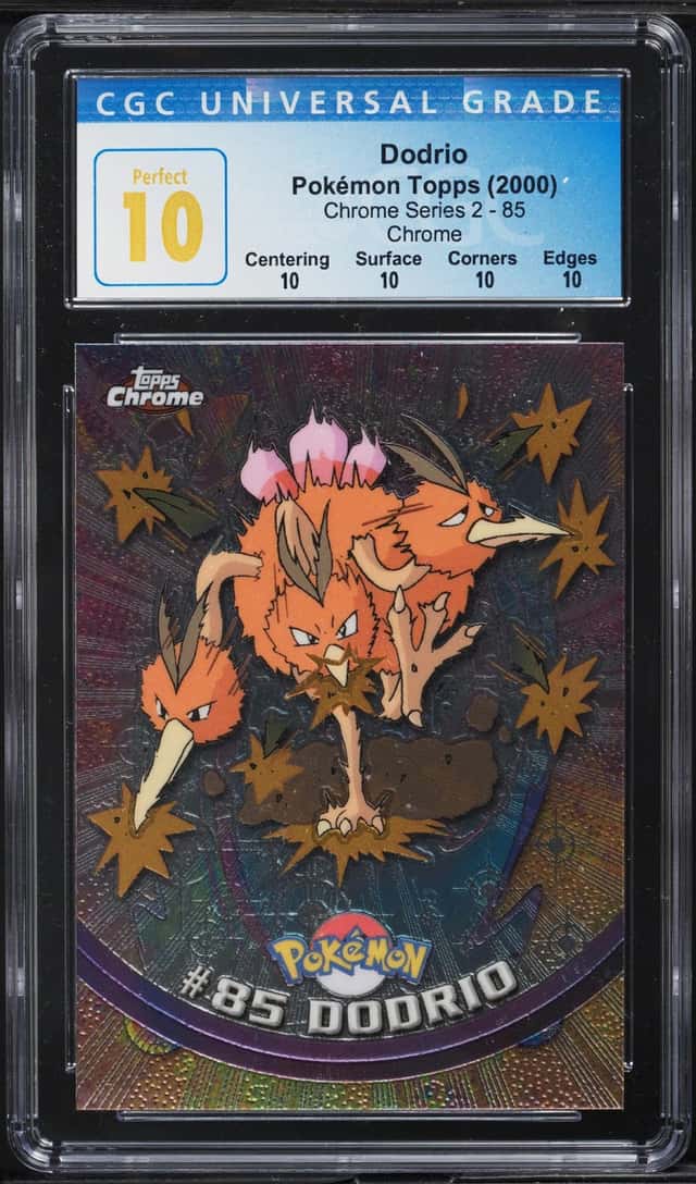 Dodrio
