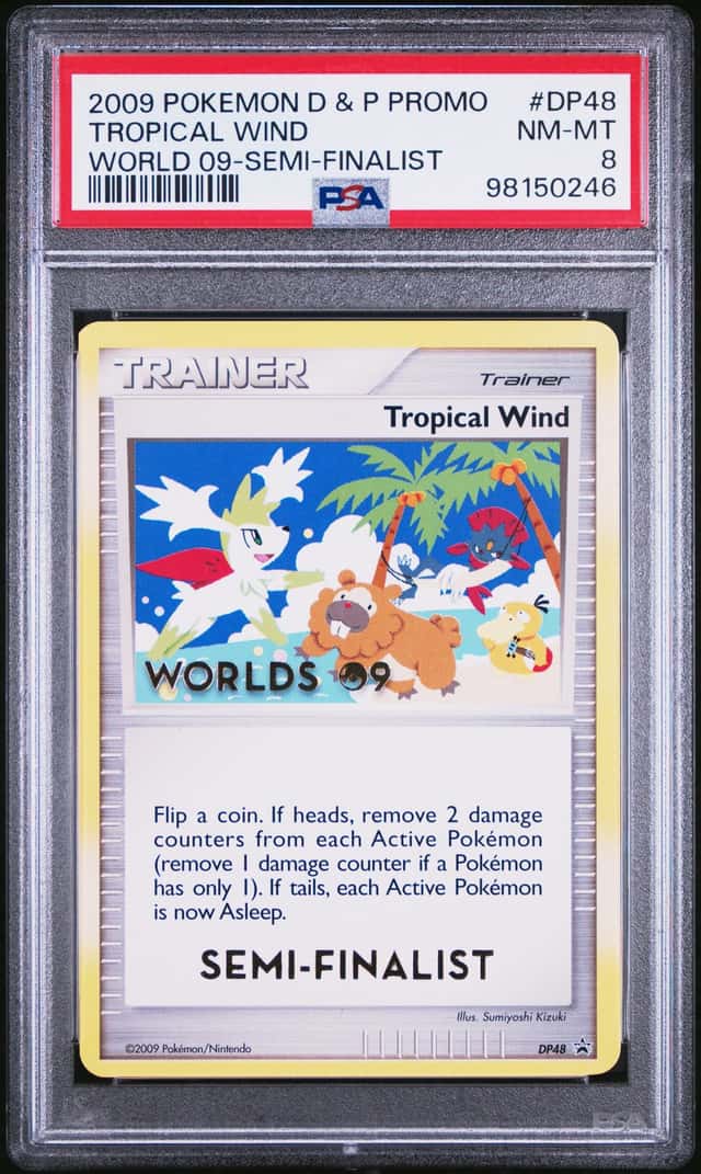Tropical Wind
