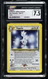 Togetic