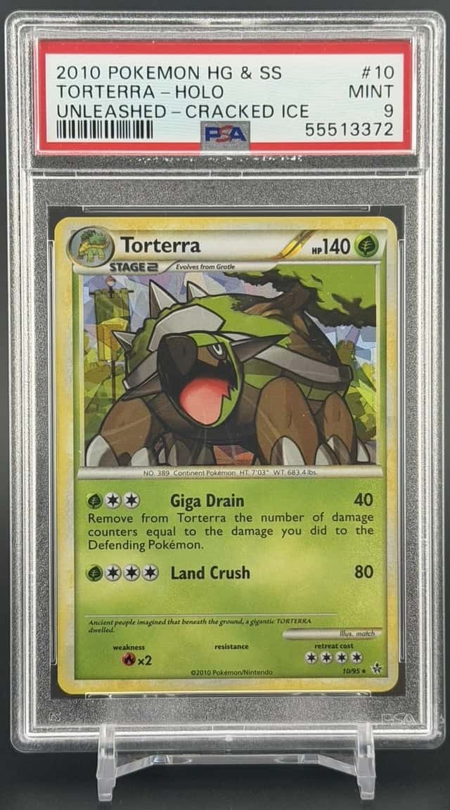 Torterra