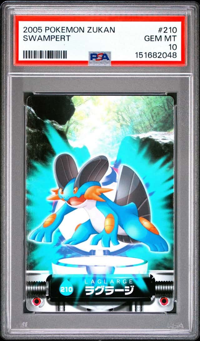 Swampert