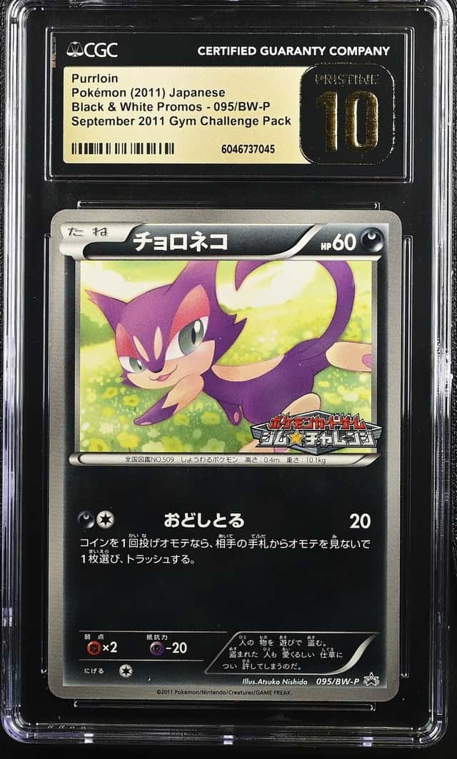 Purrloin