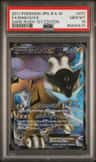 Raikou Ex