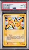Pichu Bros