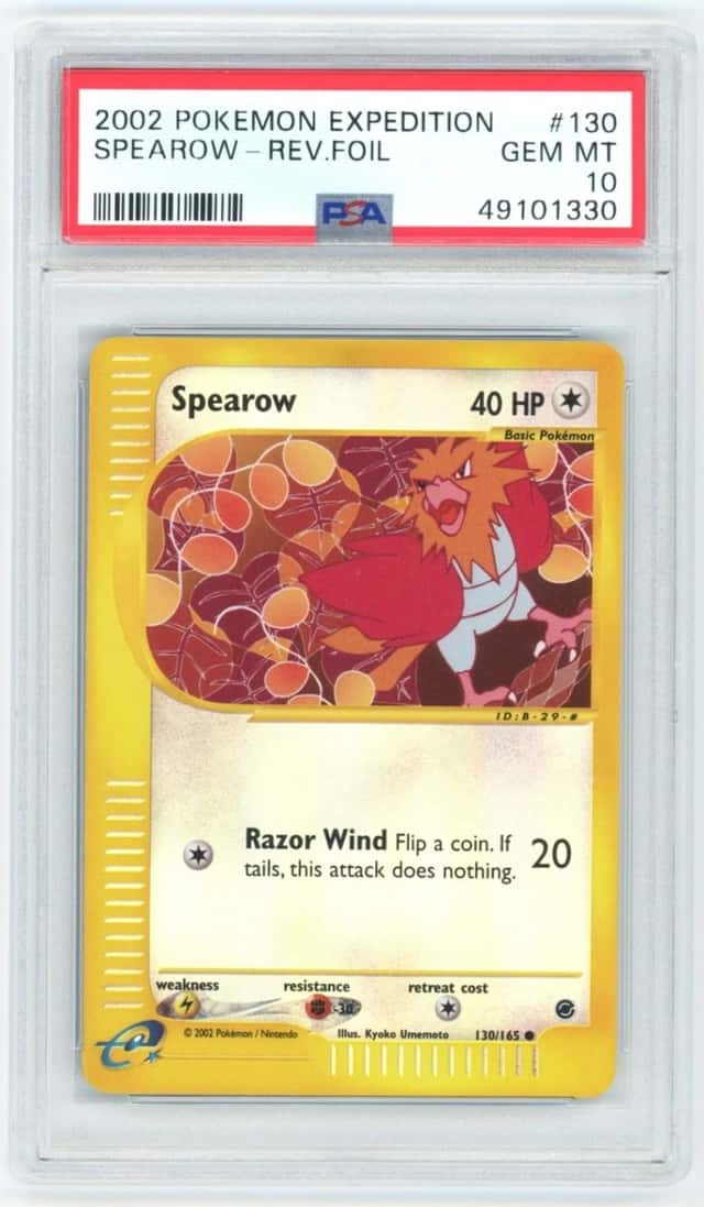 SPEAROW-REV.FOIL