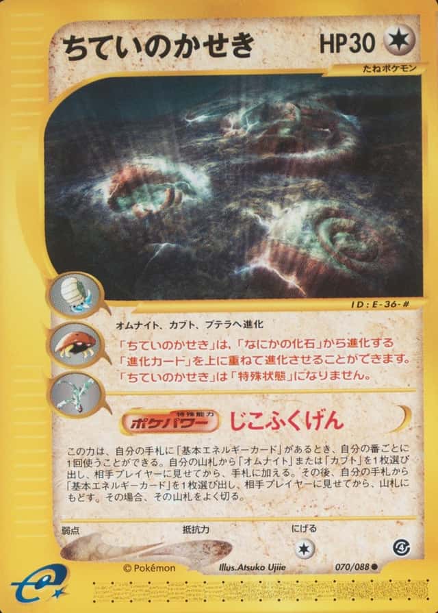 Base / no variant