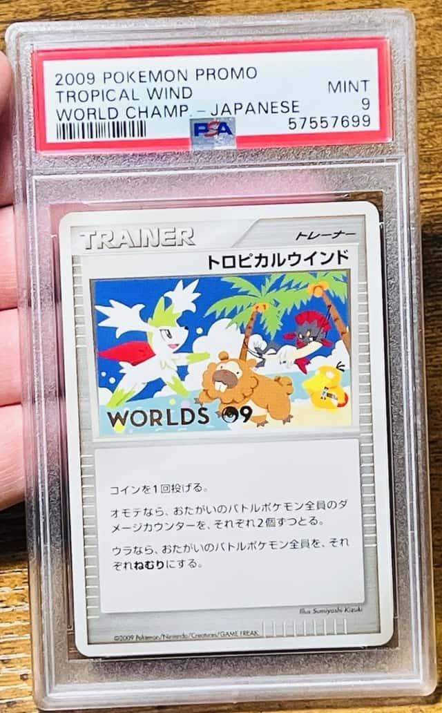 Tropical Wind