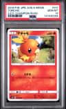 Torchic