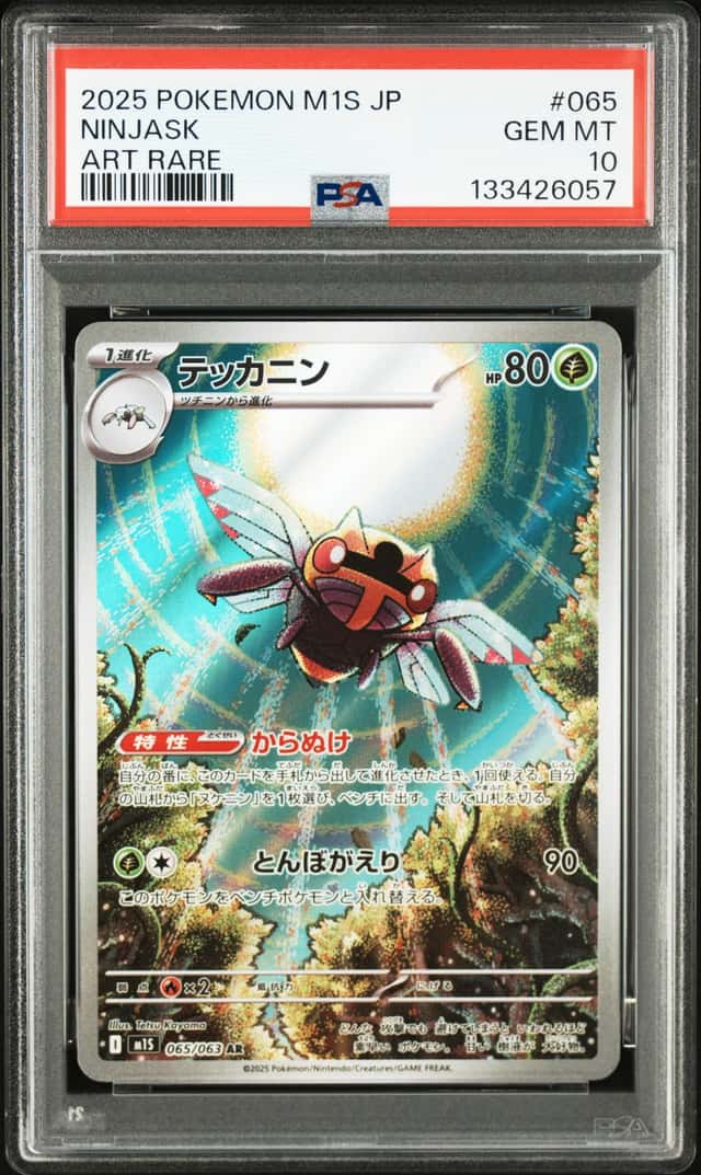 Ninjask