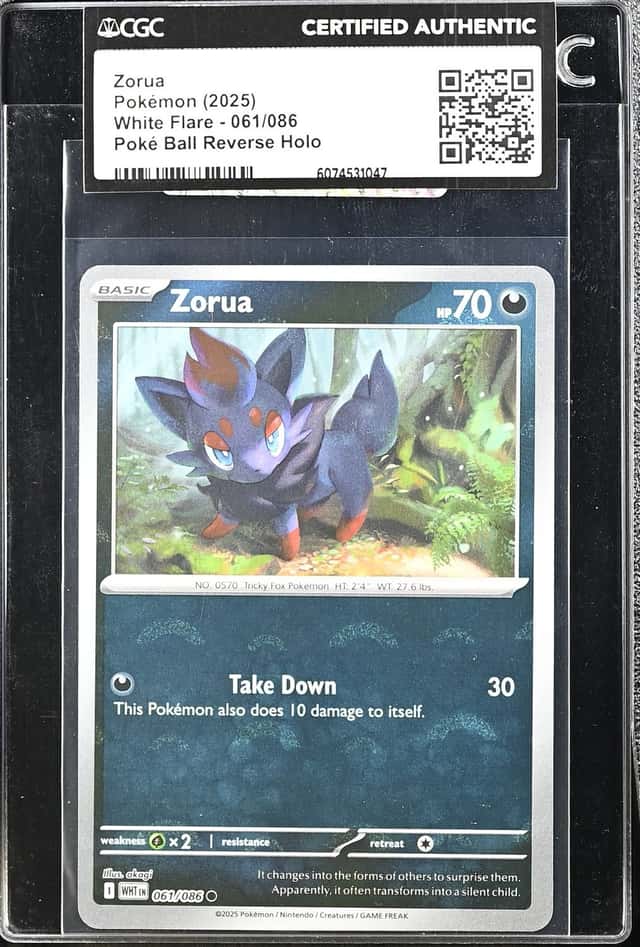 Zorua