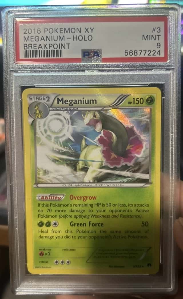 Meganium