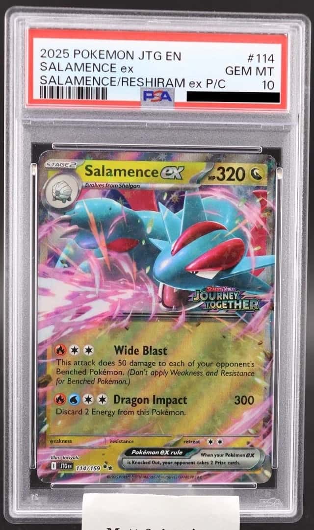 Salamence ex