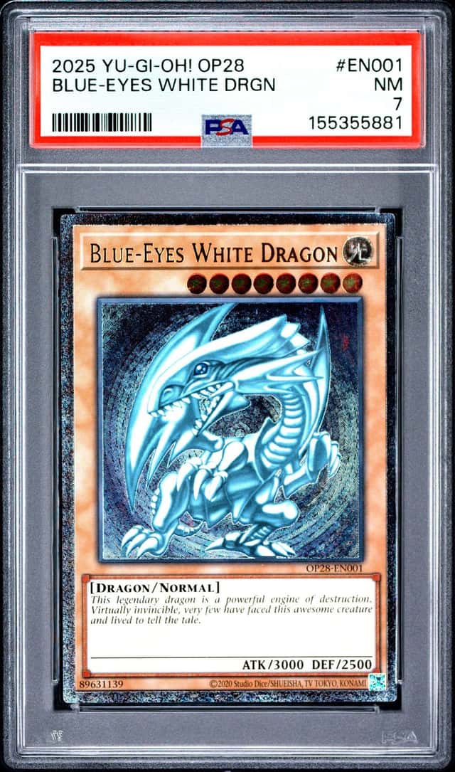 BLUE-EYES WHITE DRGN