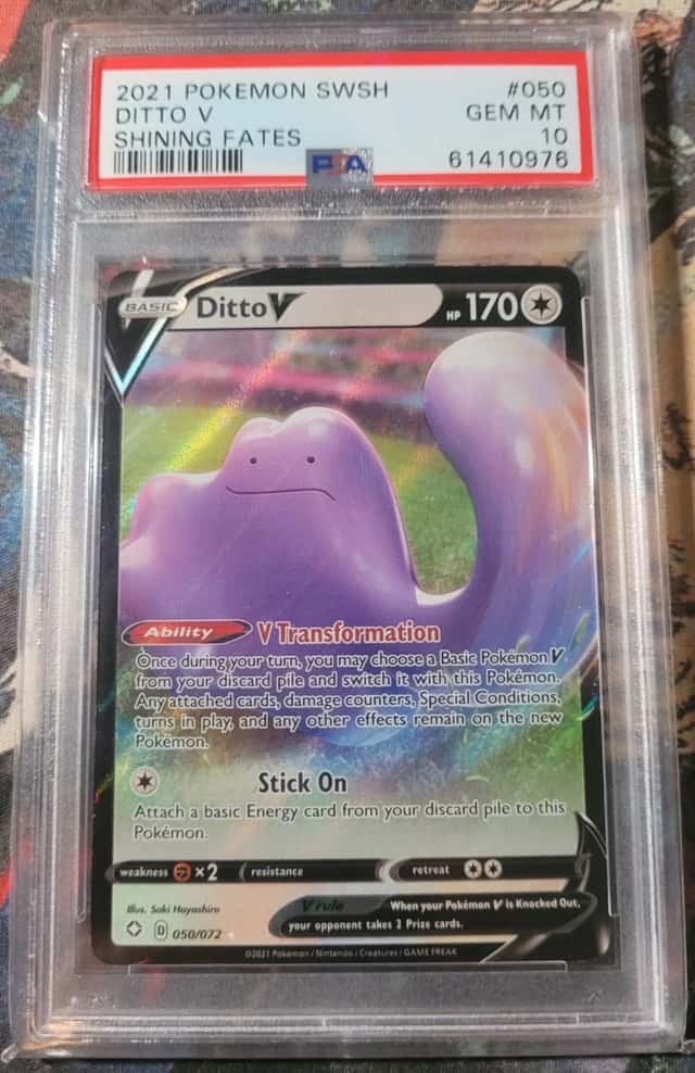 Ditto V