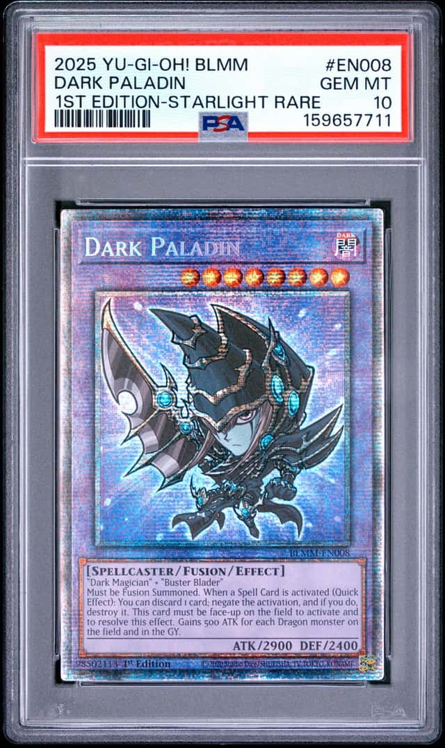 Dark Paladin