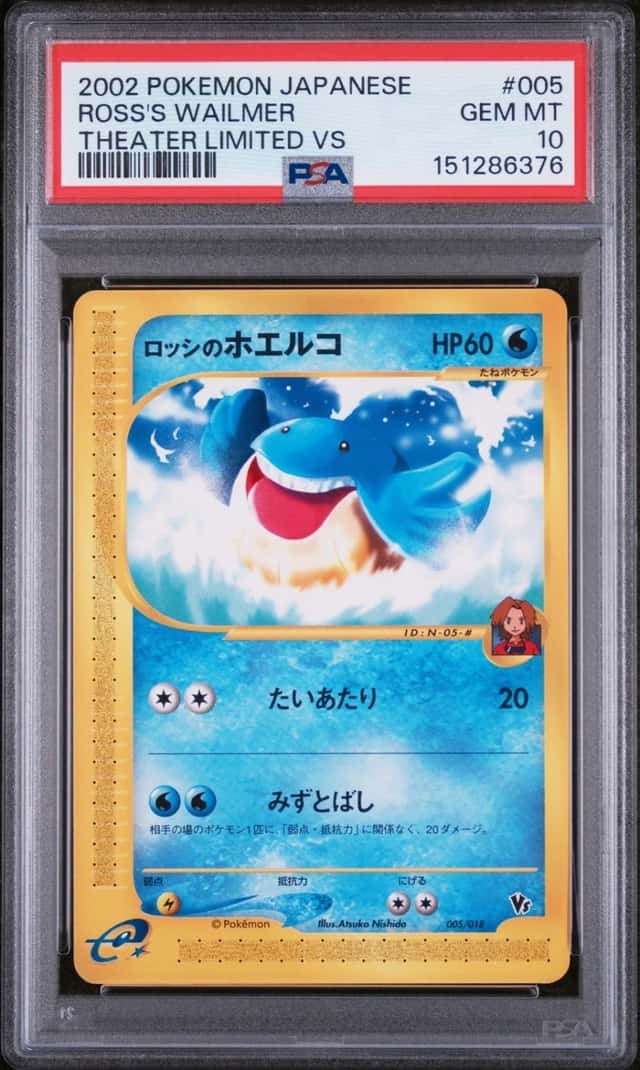 Ross's Wailmer