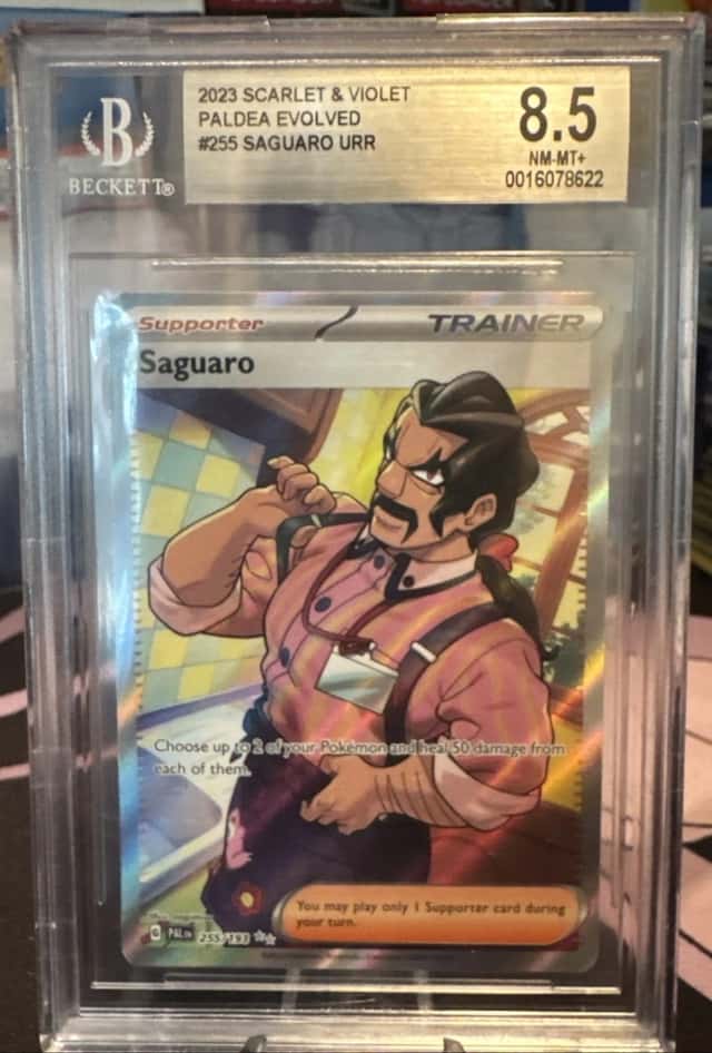 Saguaro