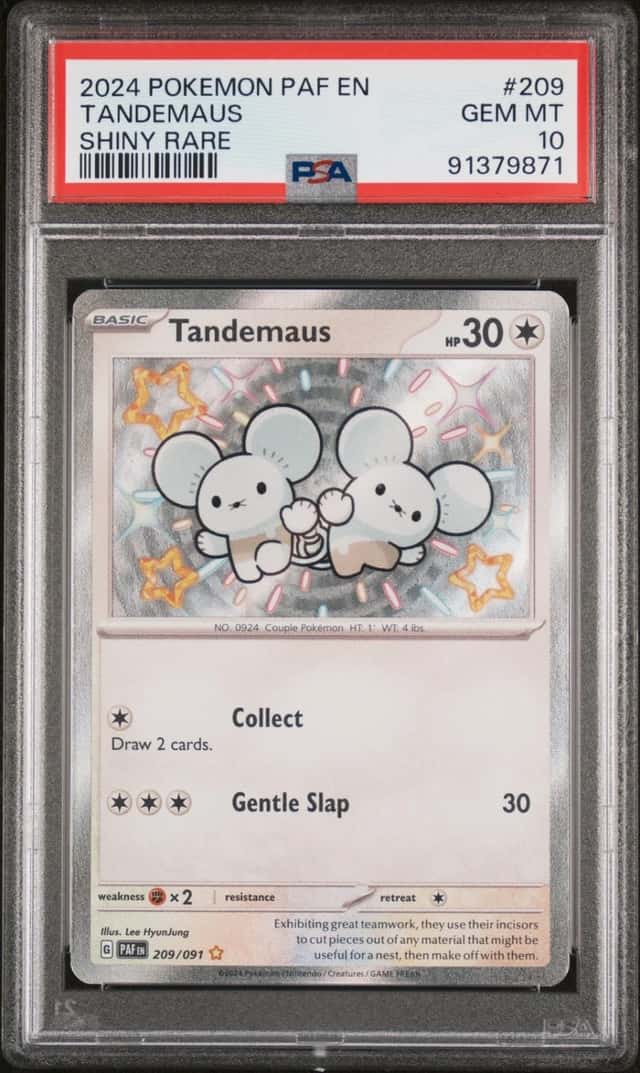 Tandemaus