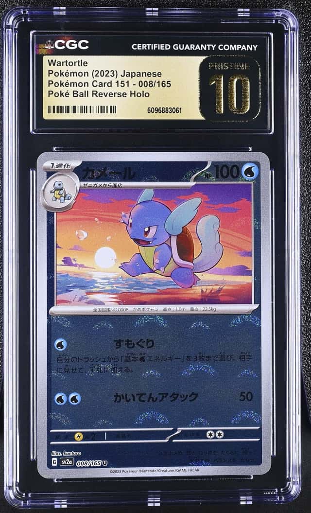 Wartortle
