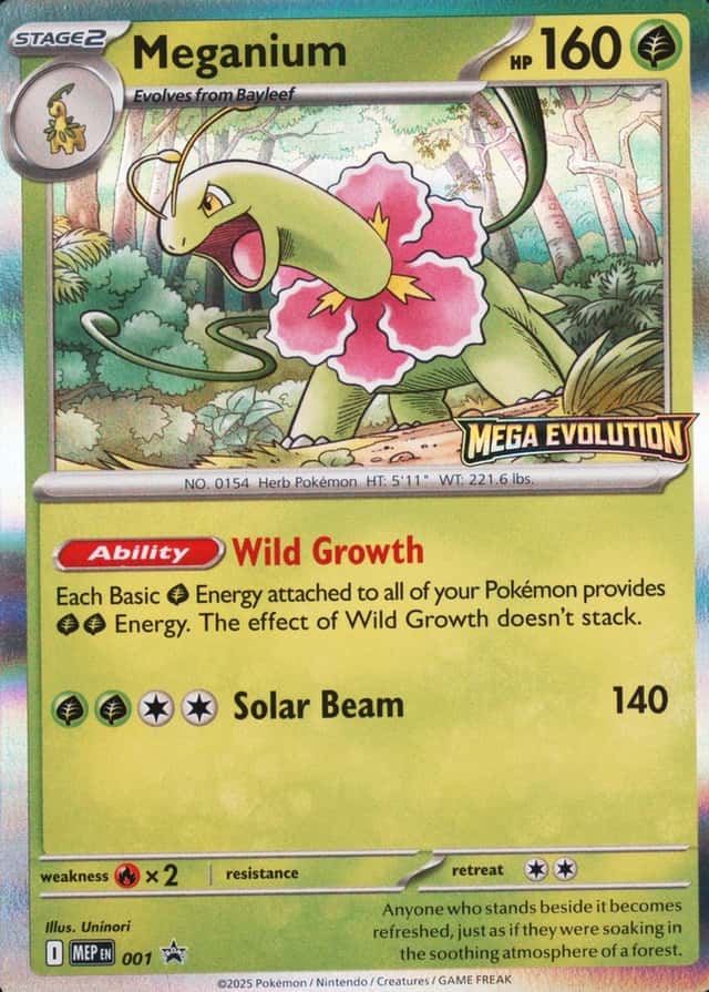 Holo · Prerelease