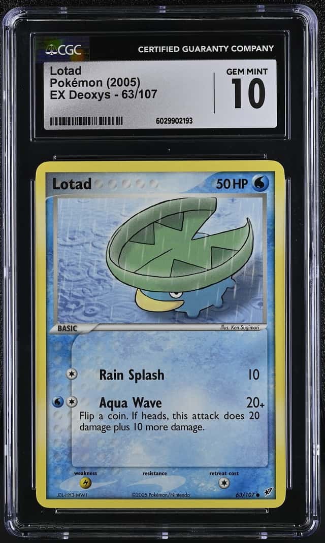 Lotad