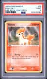 Ponyta