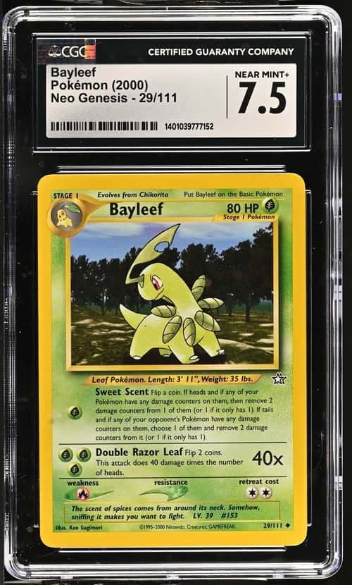 Bayleef