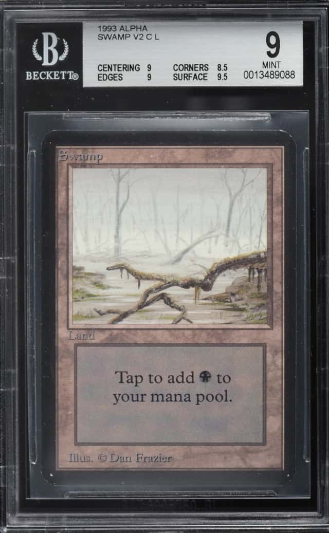Swamp v2 L