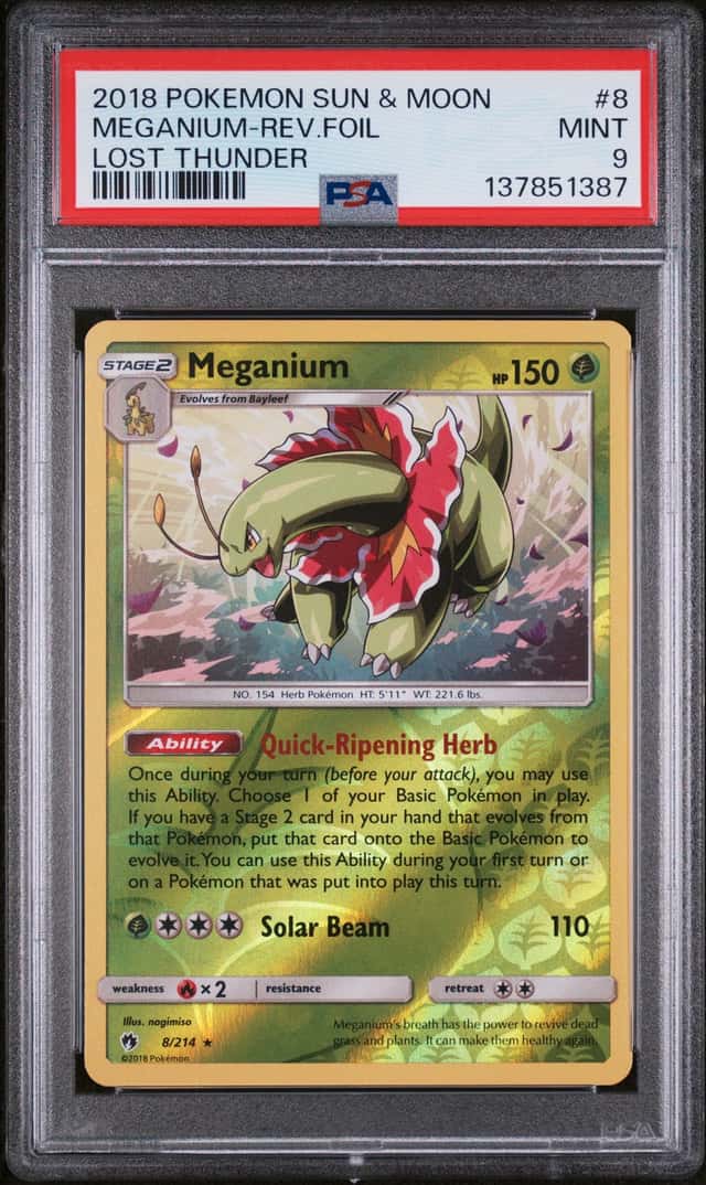 Meganium