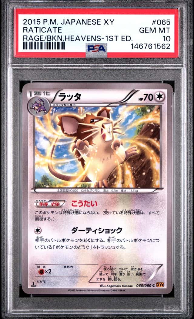 Raticate
