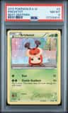 Kricketot