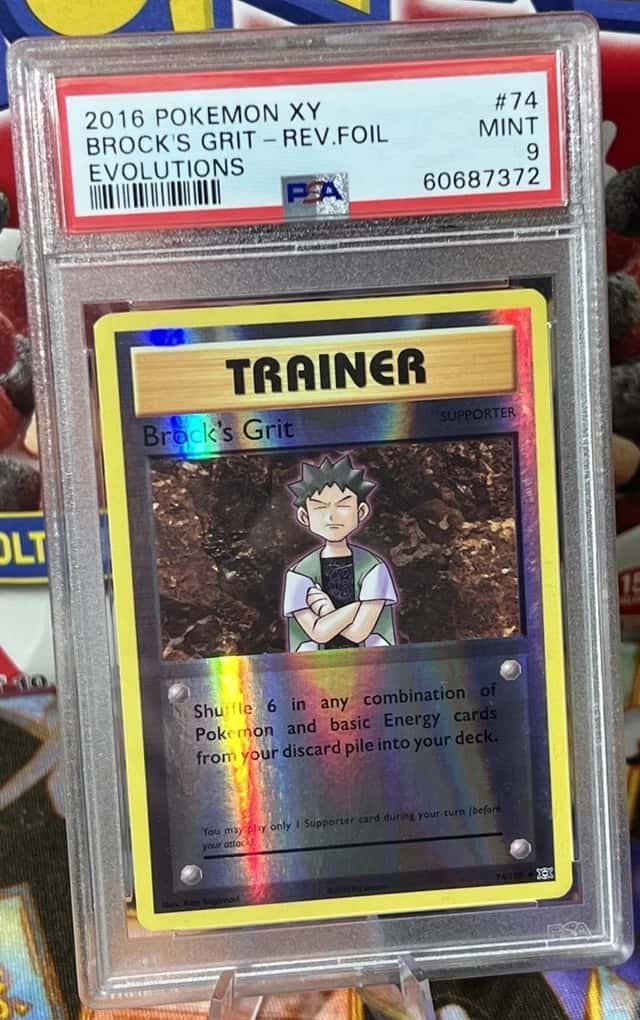 Brock's Grit