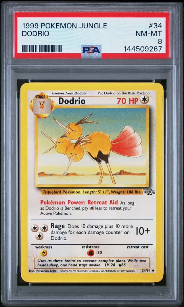 Dodrio